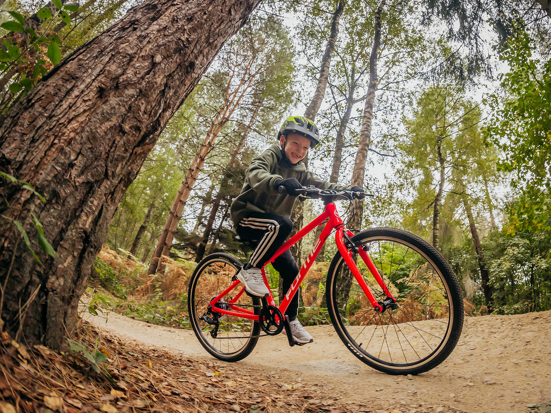 Cómo preparar tu bicicleta para su recogida
