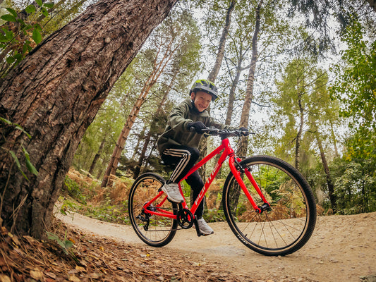 Cómo preparar tu bicicleta para su recogida