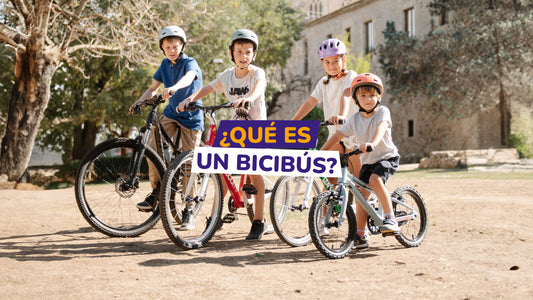 que es un bicibus?