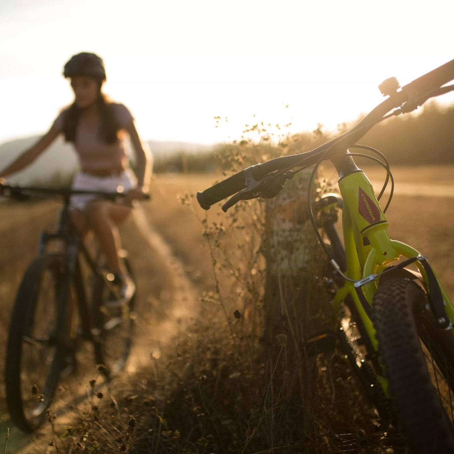 ORBEA MX 24 PARK